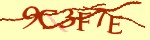 Mã bảo mật